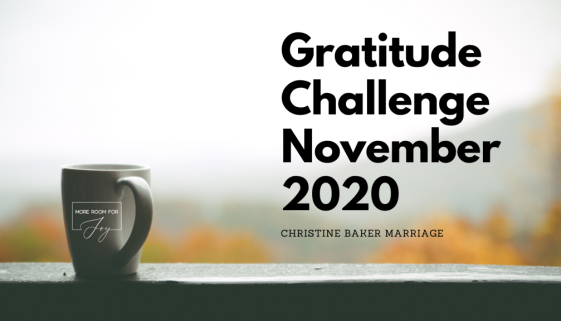 Gratitude Challenge November 2020